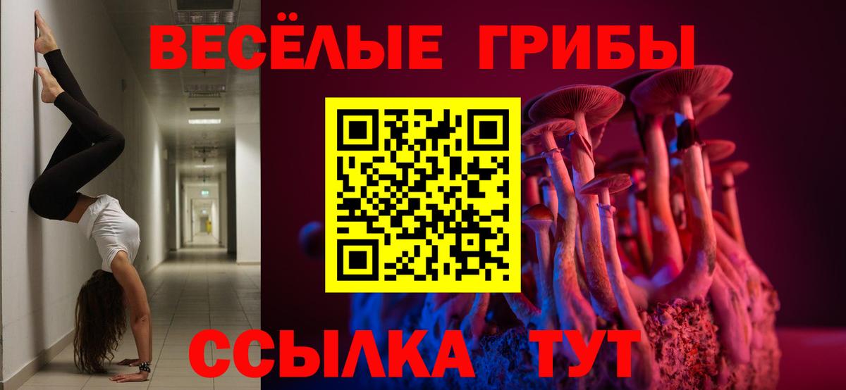 Псилоцибиновые грибы мицелий Александров