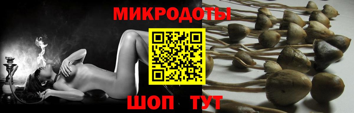 Александров  Галлюциногенные грибы Psilocybe  Вход с VPN  Галлюциногенные грибы GOLDEN TEACHER 